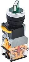 Переключатель D8-11XD2 на 2 полож. 1НО+1НЗ с подсвет. зел. IEK BSW30-11XD2-3-14-2-K06