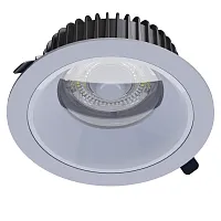 Светильник светодиодный 96 182 ДВО-Д02-10-30-4K-IP65 Innolux 96182