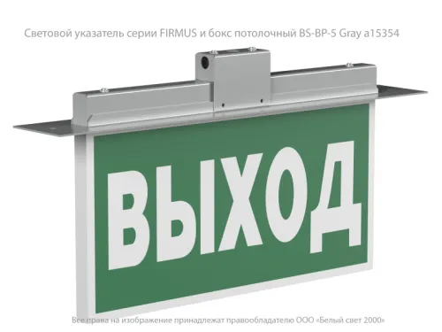Указатель световой BS-FIRMUS-71-S1-INEXI2 Белый свет a18967 фото 3