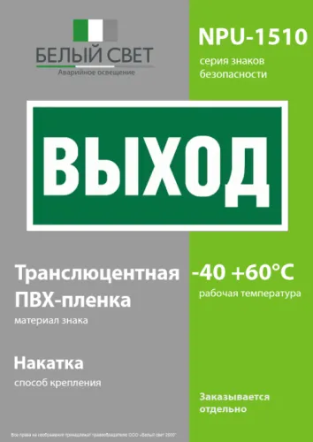 Наклейка NPU-1510.E22 "Выход" 150х80мм Белый свет a10873 фото 2