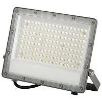 Прожектор светодиодный PRO LPR-063-0-65K-100 100Вт 6500К IP65 10000лм Г 90град. сер. Эра Б0067743