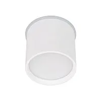 Светильник светодиодный SP-CYLINDO-R75-7W Day4000 (WH 110 deg 230В) IP54 металл Arlight 041246