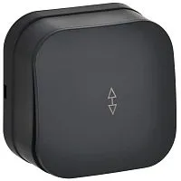 Выключатель проходной 1-кл. ОП GLORY ВСп10-1-0-ХЧм 10А черн. матов. IEK EVH12-K02M-10