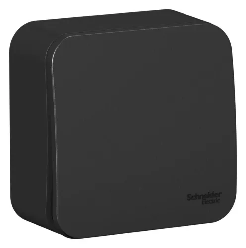 Переключатель проходной 1-кл. ОП Blanca 10А IP20 (сх. 6) 250В с изолир. пластиной антрацит SE BLNVA106016 фото 2