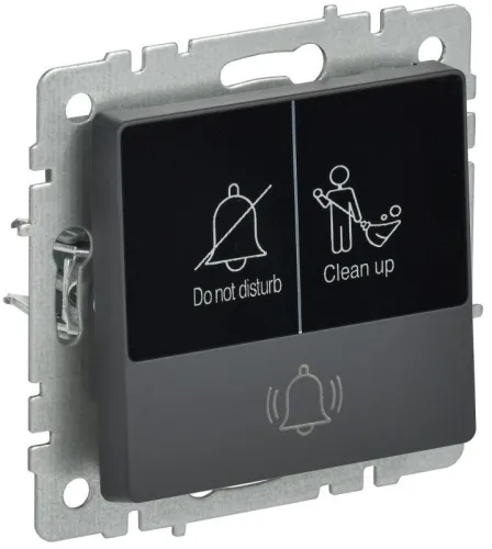 Кнопка звонка BRITE 10А ВС10-1-9-БрГ для отелей с индик. механизм графит IEK BR-V14-2-10-K53