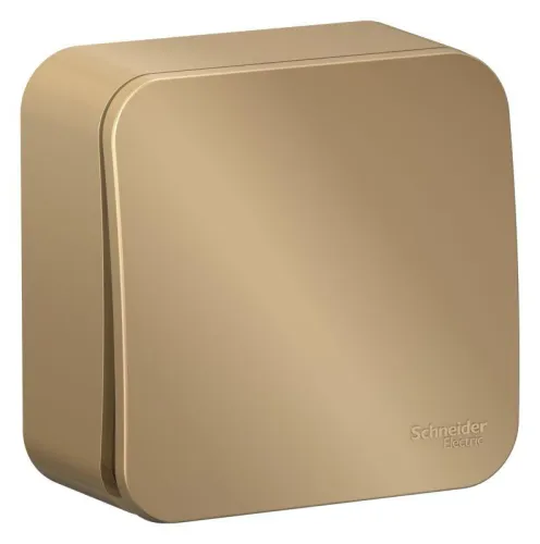 Выключатель 1-кл. ОП Blanca 10А IP20 (сх. 1) с самовозвратом с изолир. пластиной титан SE BLNCA101014 фото 2