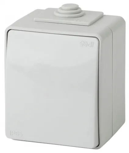 Переключатель 1-кл. ОП Эра Эксперт 10А IP65 11-1603-03 250В 10AX сер. Эра Б0035975