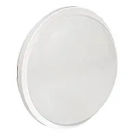 Светильник светодиодный ЖКХ ДПО-2009 12Вт 6500К IP65 круг LUMA EKF BKL-2009-R-12-6500