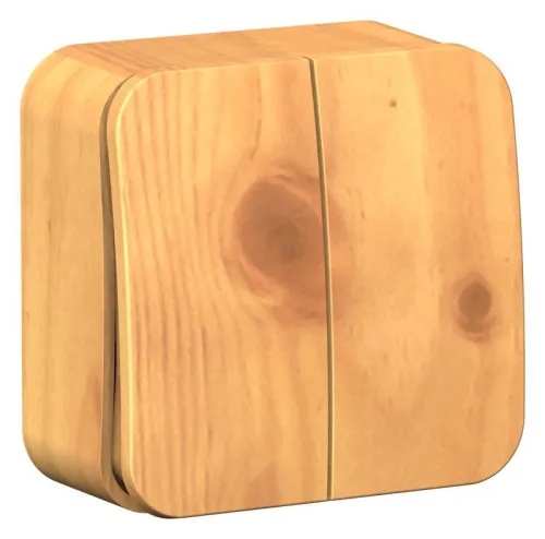 Выключатель 2-кл. ОП Blanca 10А IP20 (сх. 5) 250В ясень SE BLNVA105005 фото 2