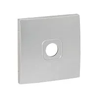 Панель лицевая Валенсия для розетки TV 1-м 75Ом 5-862МГц сталь PROxima EKF ESA00-L-027-30