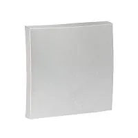 Панель лицевая Валенсия для выключателя 1-кл. 10А сталь PROxima EKF ESV10-L-021-30