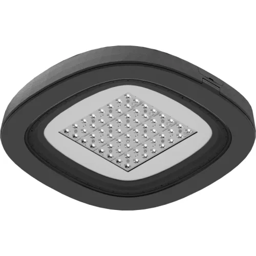 Светильник светодиодный SKYLINE LED/CAT 60W DS1 730 RAL9006 СТ 1707001240