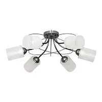 Светильник "Орбиталь" 161 хром (плафон 8461) НСБ 01-6х60-106 Е27 ИУ Элетех 1005404584