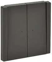 Выключатель 2-кл. СП FORTE&PIANO 10А FP306 с индикацией сер. IEK FP-V20-1-10-1-K03