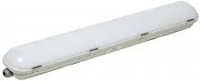 Светильник ДСП 1424 20Вт 4000К IP65 600мм IEK LDSP0-1424-20-4000-K01
