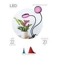 Светильник светодиодный FITO-20W-АLED-R 20Вт для растений красн./син. спектр на прищепке черн. Эра Б0053290