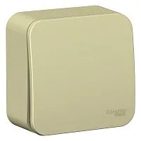 Переключатель проходной 1-кл. ОП Blanca 10А IP20 (сх. 6) 250В с изолир. пластиной беж. SE BLNVA106017