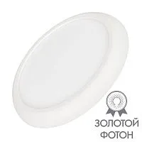 Светильник CL-FIOKK-R300-25W Day4000-MIX (WH 120 deg 230В) (IP44 пластик) Arlight 034467
