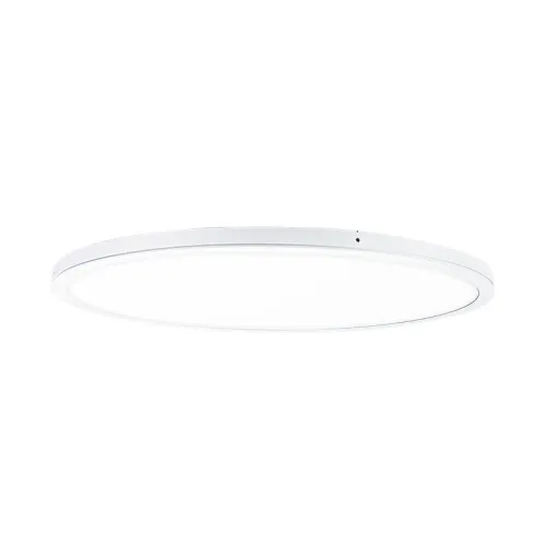 Светильник светодиодный ДПО CP 31 C 22W OP 940 D300 WH 300х24мм 22Вт 4000К IP40 накладной панель бел. Русский Свет 14063125268