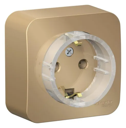 Розетка 1-м ОП Blanca 16А IP20 250В с заземл. без защ. шторок с изолир. пластиной (компакт) титан SE BLNRA110114 фото 2