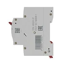 Выключатель автоматический модульный max типа MD63H 10кА 2п C 10А YON MD63H-2PC10