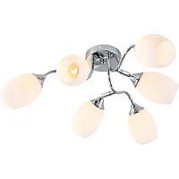 Люстра Hollie 3135-306 6хE27 60Вт модерн Rivoli Б0055379