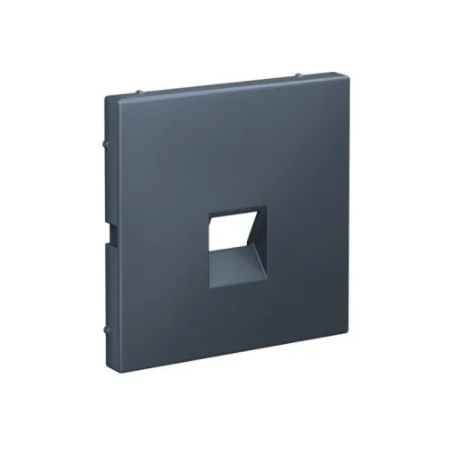 Накладка информационная ArtGallery типа Keystone грифель SE GAL000784 фото 2