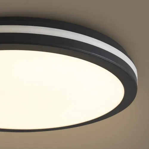 Светильник Rua 40Вт IP65 потолочн. Freya FR6160CL-L40B фото 3