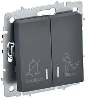 Выключатель 2-кл. BRITE 10А ВС10-2-9-БрГ для отелей с индик. механизм графит IEK BR-V20-2-10-K53