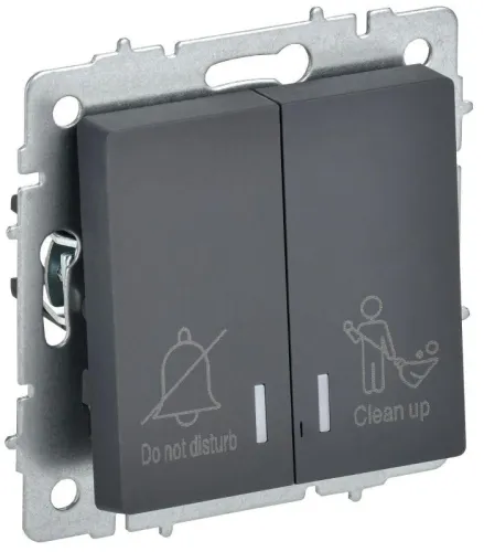 Выключатель 2-кл. BRITE 10А ВС10-2-9-БрГ для отелей с индик. механизм графит IEK BR-V20-2-10-K53