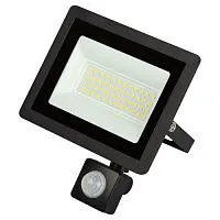 Прожектор светодиодный уличный LPR-042-2-65K-050 50Вт 6500К 4000лм IP44 регулируемый ИК датчик Эра Б0064292