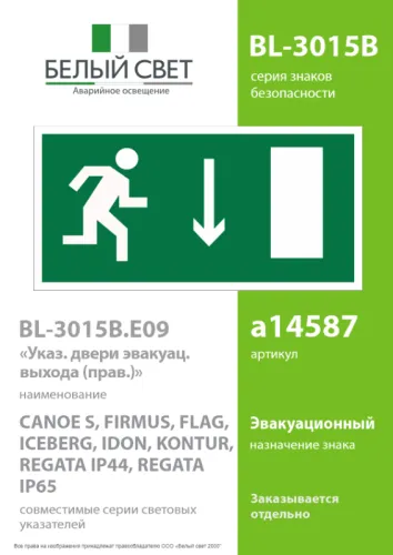 Знак безопасности BL-3015B.E09 Белый свет a14587 фото 2