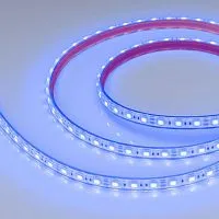 Лента светодиодная RTW-PFS-B60-13mm 12V Blue 14.4Вт/м IP68 5060 герметичная (уп.5м) Arlight 036280