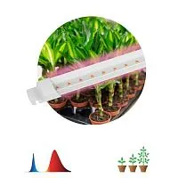 Светильник светодиодный для растений FITO-10W-Т5-RB-Slim 10Вт Т5 линейный красн./син. спектра Эра Б0057401