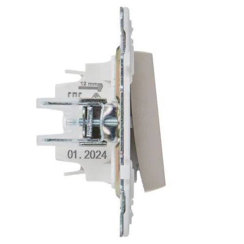 Выключатель 1-кл. SKANDY 10А SK-V01Sh шампань IEK SK-V10-0-10-K37 фото 4