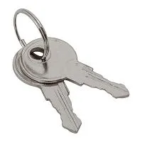 Ключ для замка (арт. 18-20/38-ip31) PROxima EKF key-1