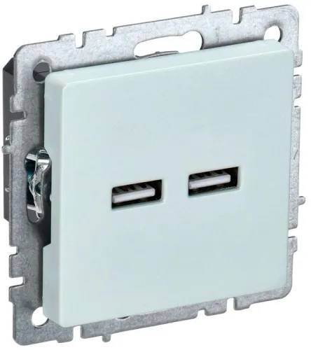 Розетка BRITE USB A+A 3.1А РЮ10-1-БрЖ механизм жемчуж. IEK BR-U21-D31-K36