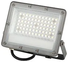 Прожектор светодиодный PRO LPR-063-0-65K-050 50Вт 6500К IP65 5000лм Г 90град. сер. Эра Б0067705