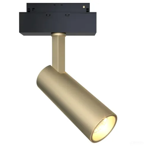 Светильник трековый Technical TR019-2-10W3K-MG
