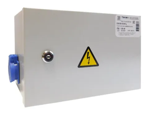 Ящик с понижающим трансформатором ЯТП 0.25 230/36 (2 авт. выкл.) IP54 TOKOV ELECTRIC TKE-TT12-36-250-54 фото 2