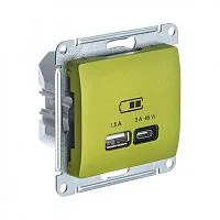 Розетка USB Glossa тип A+C 45Вт QC PD высокоскор. ЗУ механизм фисташ. SE GSL001029