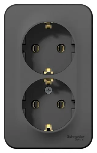 Розетка 2-м ОП Blanca 16А IP20 250В с заземл. без защ. шторок антрацит SE BLNRA010206 фото 2