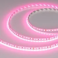 Лента светодиодная RT-A120-8mm 24V Pink 9.6Вт/м IP20 2835 (уп.5м) Arlight 043380