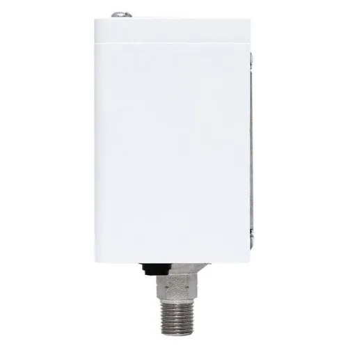 Реле избыточного давления RVG-20-0.6 (0.6МПа) EKF RVG-20-0.6 фото 3