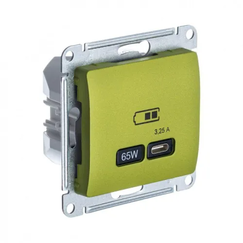 Розетка USB Glossa тип C 65Вт QC PD высокоскор. ЗУ механизм фисташ. SE GSL001027