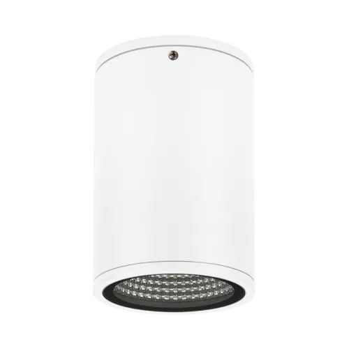 Светильник LGD-FORMA-SURFACE-R90-12W Warm3000 (WH 44 deg 230В) (IP54 металл) Arlight 037261