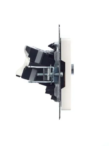 Розетка компьютерная + телевизионная 2-м Brite РТВ/РК12-БрЖ RJ45 кат.5E + TV механизм жемчуж. IEK BR-AK20-1-K36 фото 3