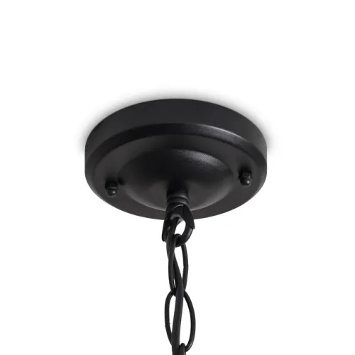 Светильник Gabi 1х40Вт E27 IP44 подвесной Voltega VGL7214PL-01B фото 2