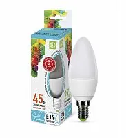 Лампа светодиодная LED-Свеча-standard 5Вт свеча 4000К нейтр. бел. E14 450лм 160-260В ASD 4690612002224