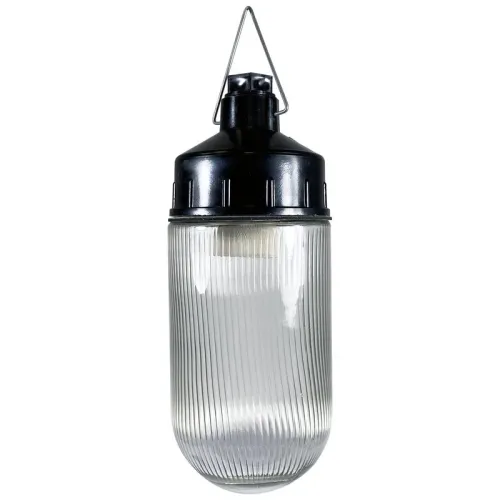 Светильник НСП 02-100-001 "Желудь Ф" IP65 корпус карболит Элетех 1005550307